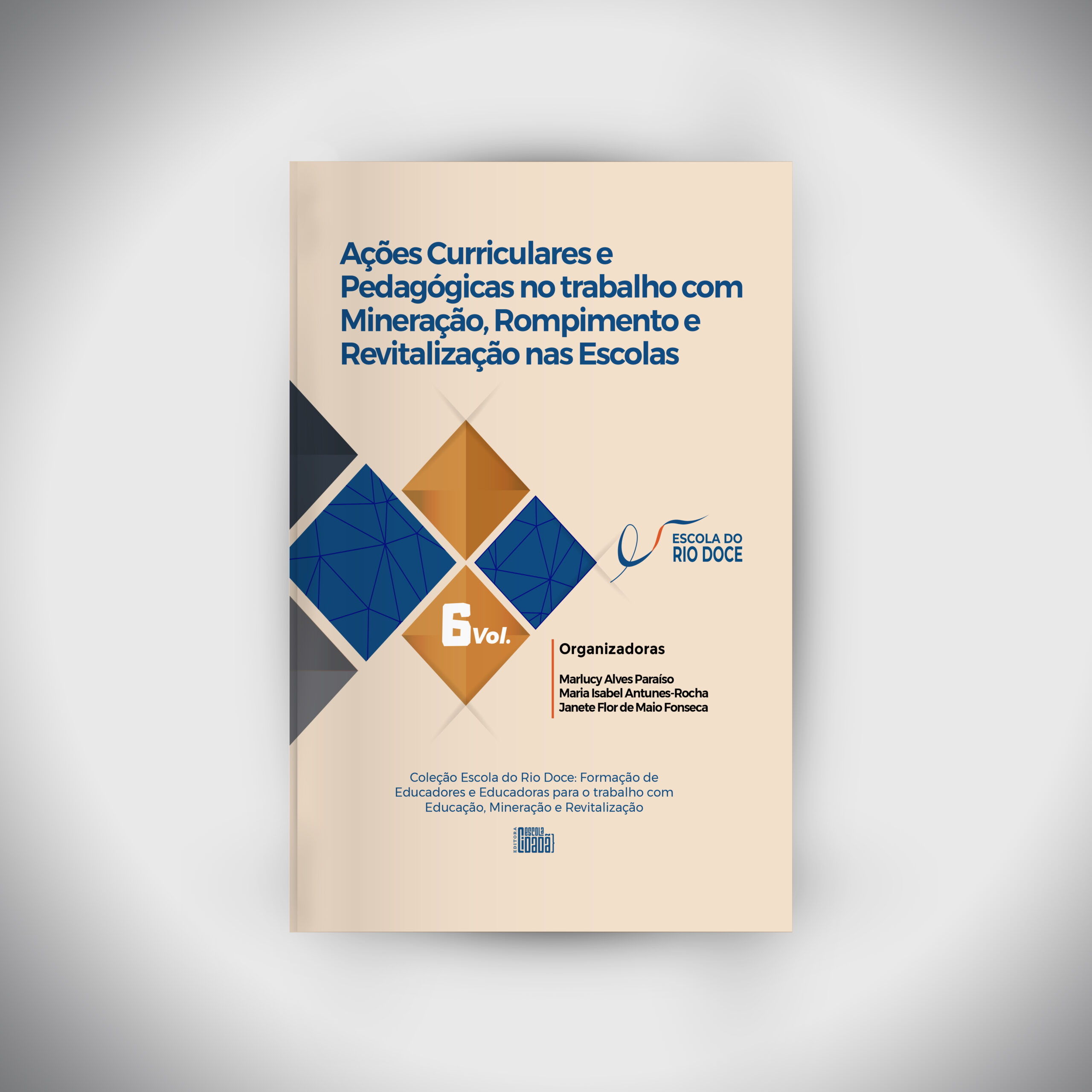 Volume 6: Ações Curriculares e Pedagógicas no trabalho com Mineração, Rompimento e Revitalização nas Escolas